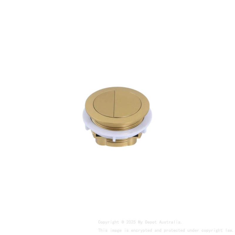 BTW Cistern Brushed Gold Round Button