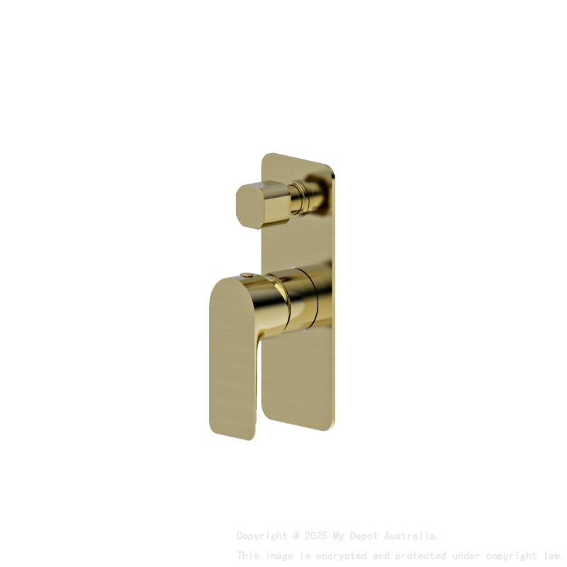Luxus Shower Diverter Mixer Brushed Gold Trim Kit