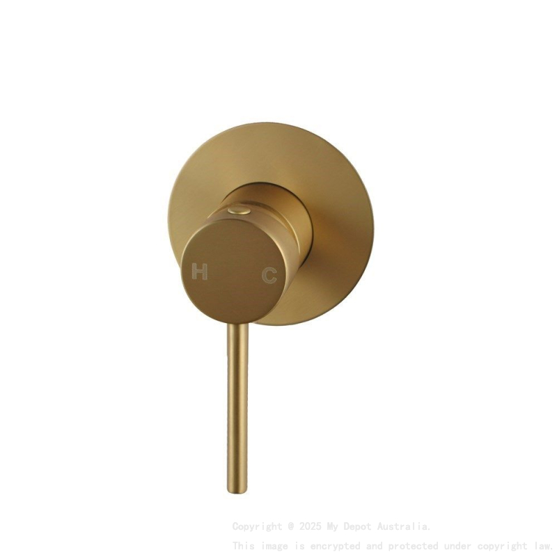 Lucid Pin Series Round Brushed Gold Shower/Bath Wall Mixer(80mm Cover Plate)