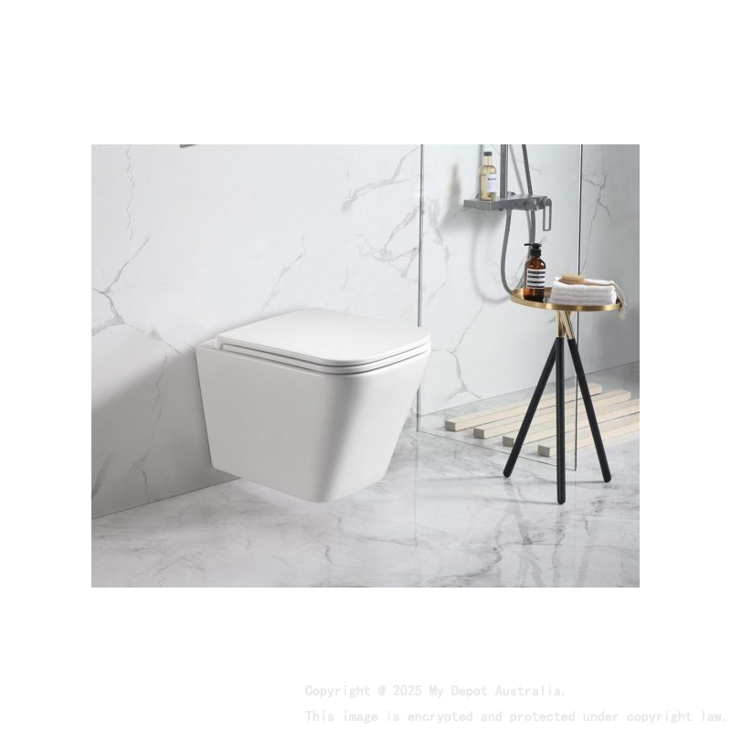 Enox66 Wall Hung Pan Rimless With Thick Uf Seat Cover 