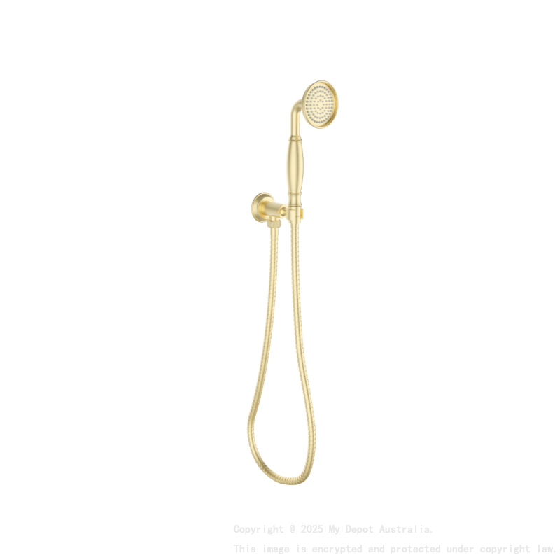 Clasico Handshower On Wall Outlet Bracket in Brushed Gold