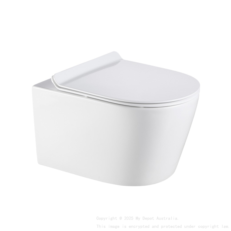 540*365*400mm Agena Rimless Wall Hung Pan