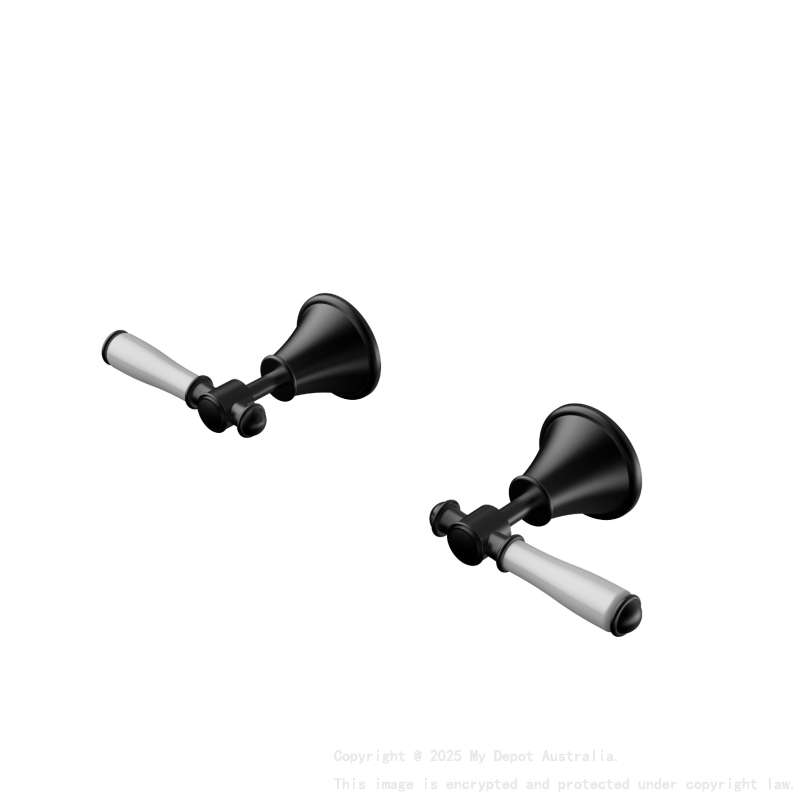 Clasico Wall Top Assemblies Ceramic Handle in Matt Black