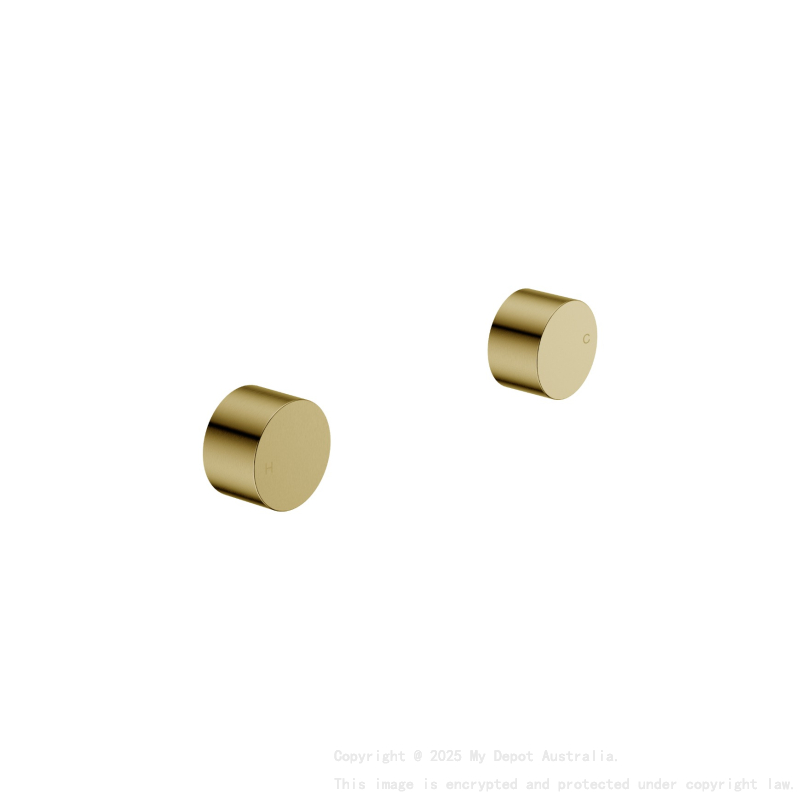 Tana 1/4 turn C/D Wall Top Assembly Brushed Gold 