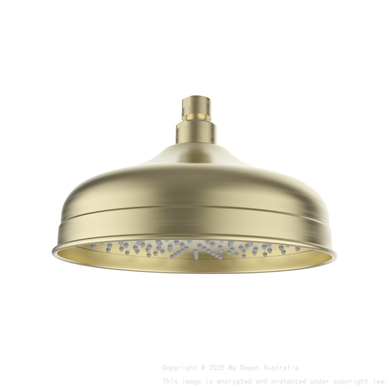 Clasico Shower Head In Brushed Gold