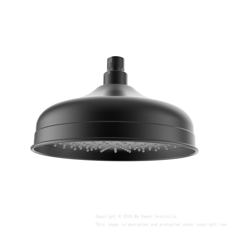 Clasico Shower Head in Matt Black