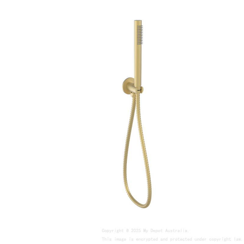 Tube Hand Shower On Wall Outlet Bracket Brushed Gold