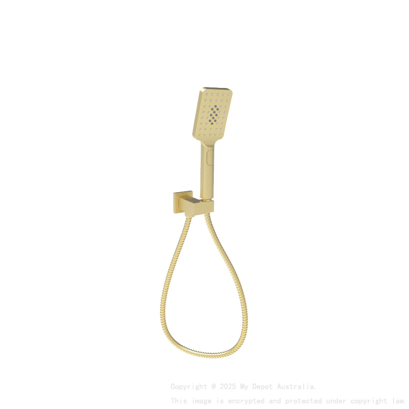 Eden Square Hand Shower On Wall Outlet Bracket Brushed Gold
