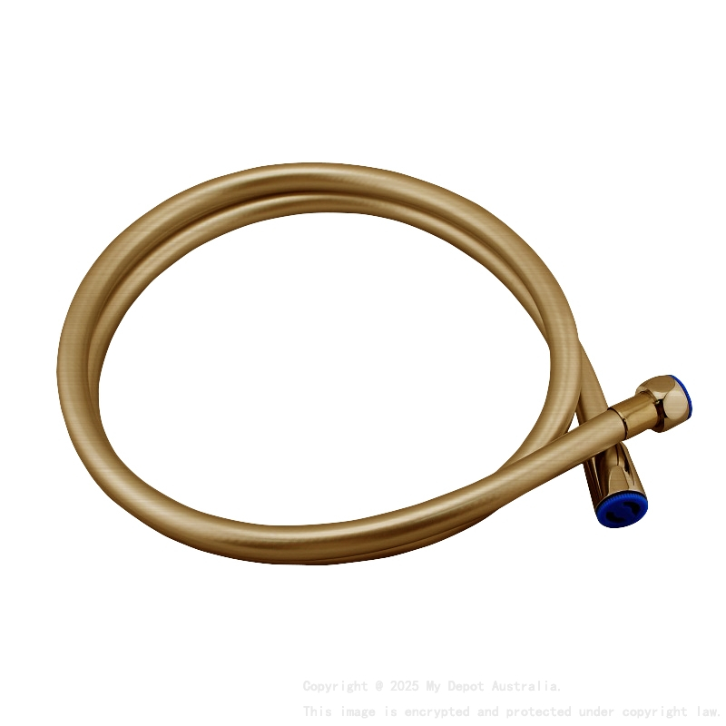Esperia Brushed Yellow Gold 1500mm PVC Shower Hose
