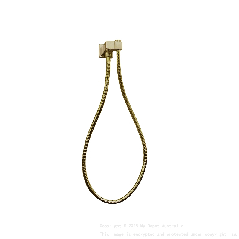 Esperia Brushed Yellow Gold Shower Holder & Connector