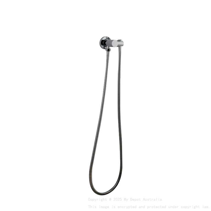 Pentro Brushed Nickel Shower Holder & Connector