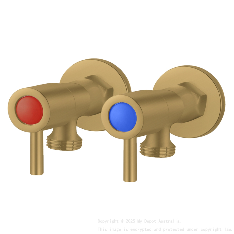 Pentro Brushed Yellow Gold G 3/4" Washing Machine Taps SET