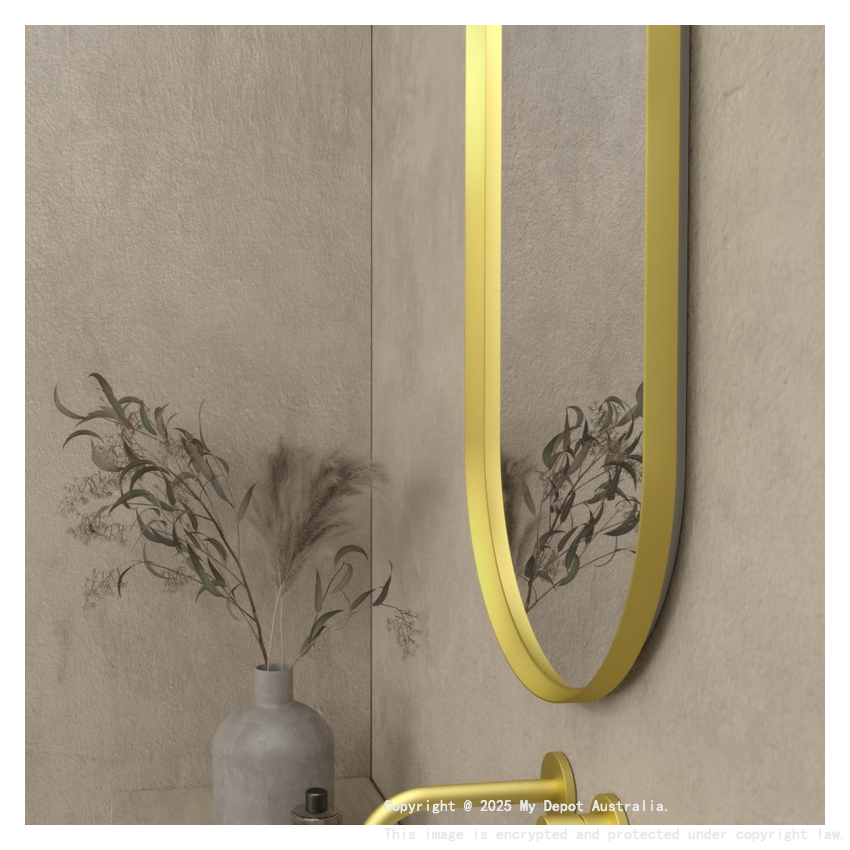 450×900mm Brushed Gold Framed Oval 3 Color Backlit LED Mirror(Touchless Sensor Switch)