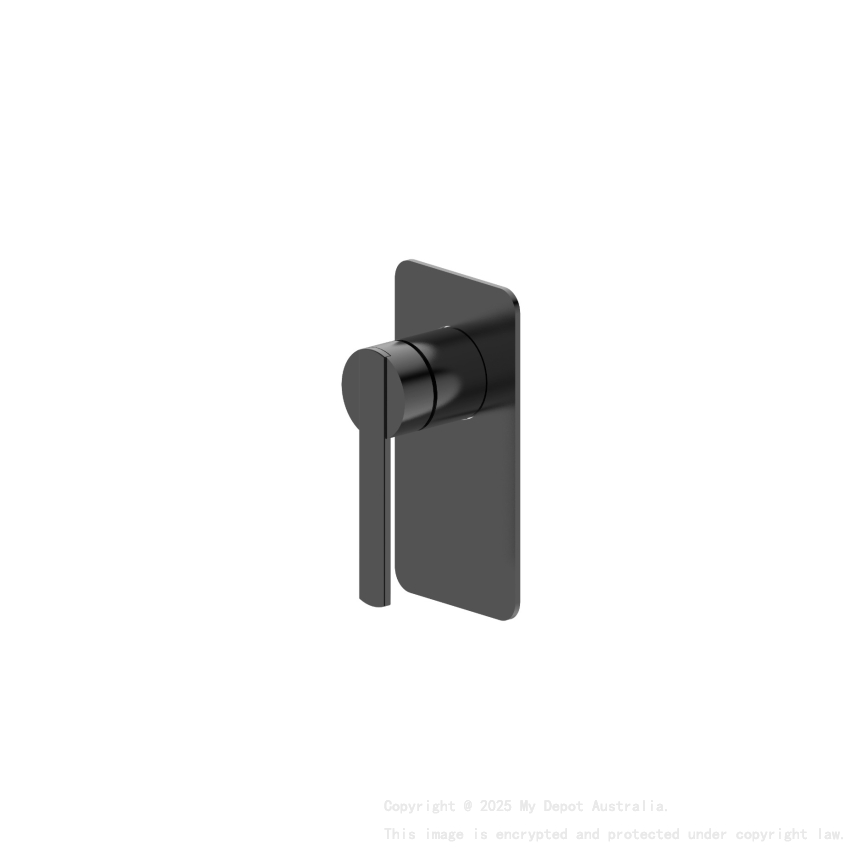 Licht Matte Black Shower Divertor Mixer