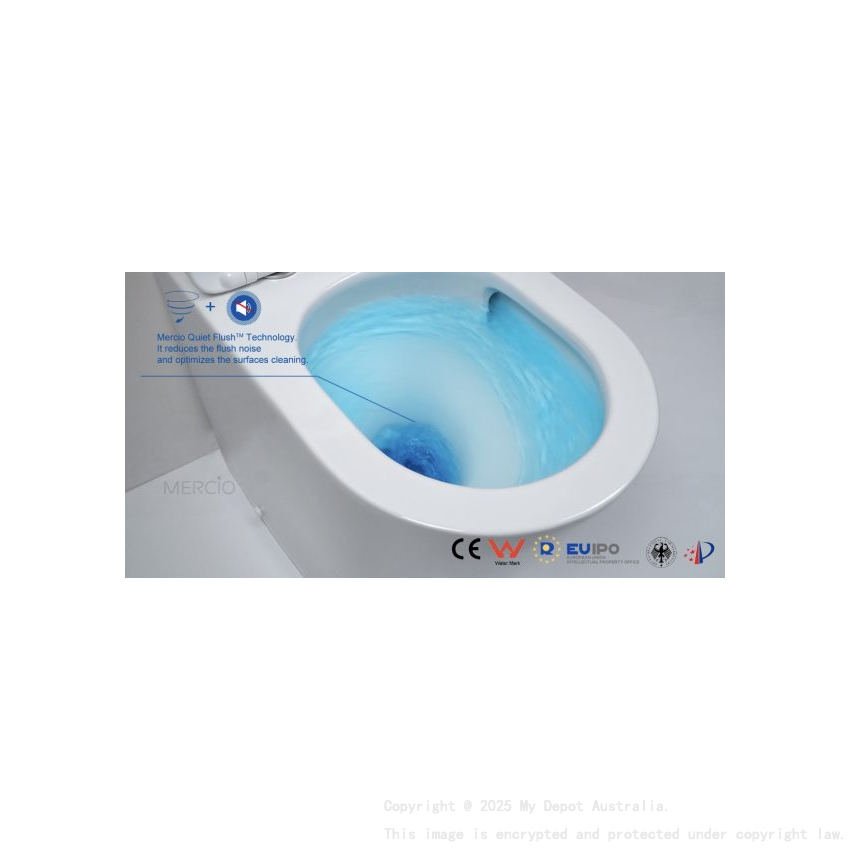 Norton99 Floor Mount Conceal System Toilet Floor Mount Conceal System Toilet 