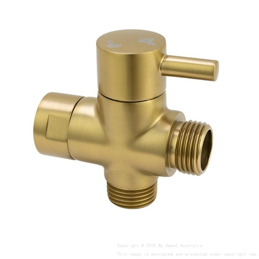 Brushed Brass Bidet Diverter