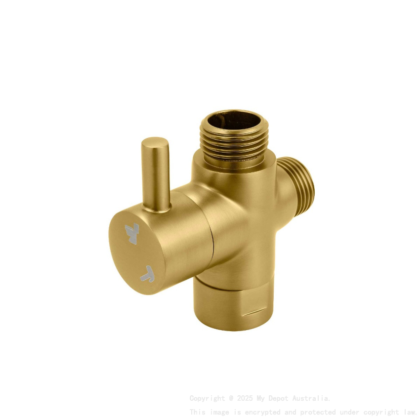 Brushed Brass Bidet Diverter