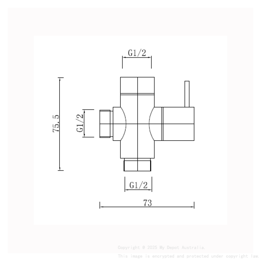 Brushed Brass Bidet Diverter