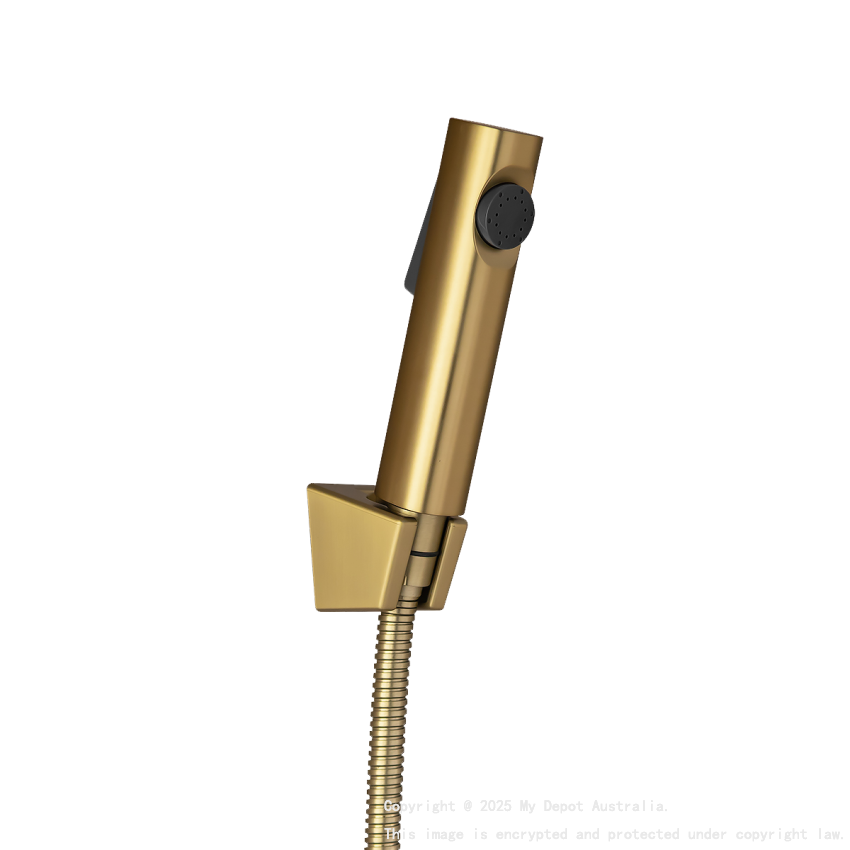 Round Brushed Yellow Gold ABS Toilet Bidet Spray Kit With Stainless Steel Hose