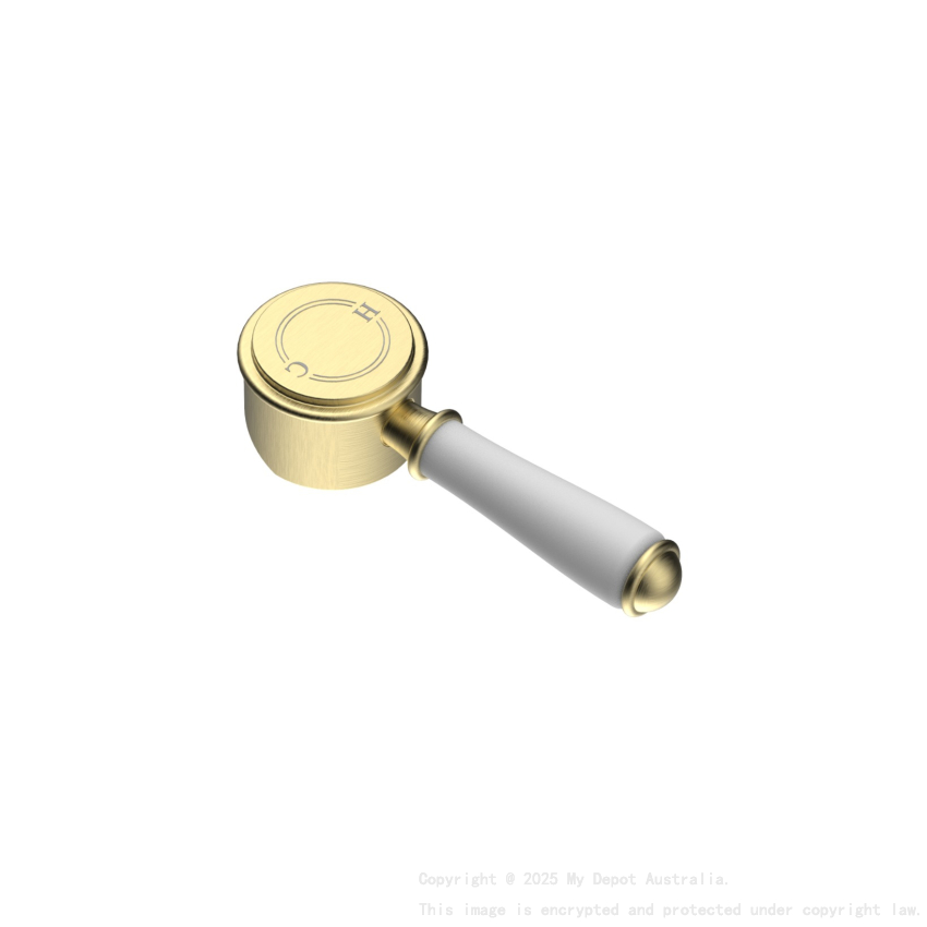 Clasico Ceramic Handle in Brushed Gold