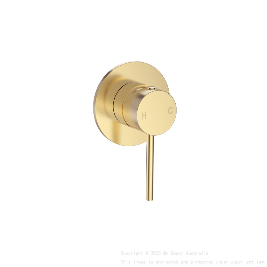 Otus Slimline SS Wall Mixer Trim Kits in Brushed Gold