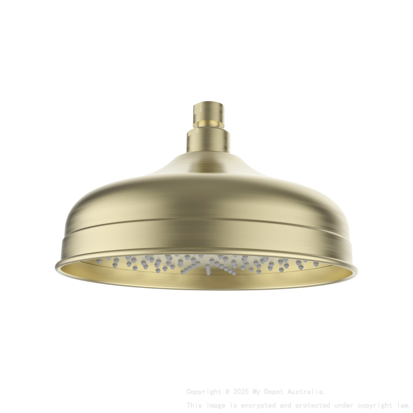 Clasico Shower Head In Brushed Gold