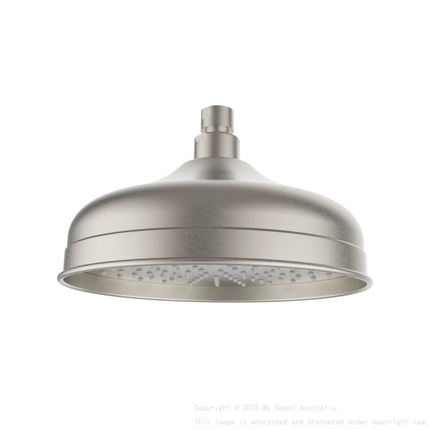 Clasico Shower Head In Brushed Nickel