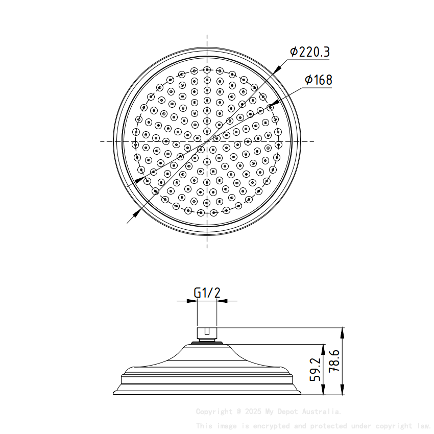 Clasico Shower Head In Brushed Nickel