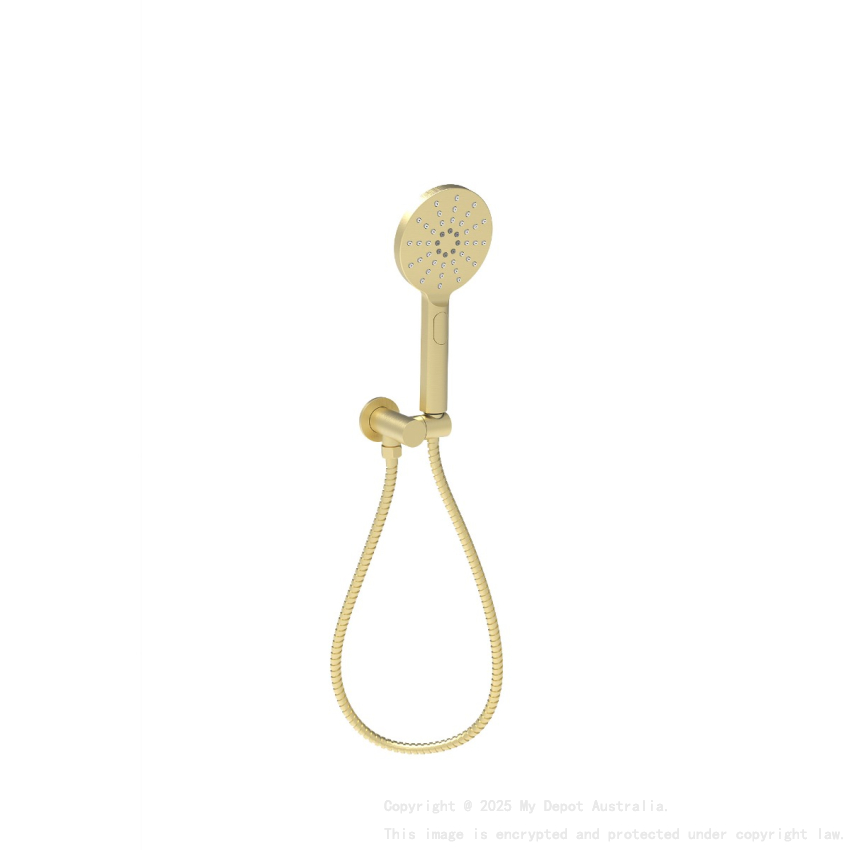 Cora Round Hand Shower On Wall Outlet Bracket Brushed Gold