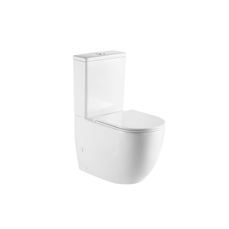 DIANA Gloss White Back To Wall Toilet Suite