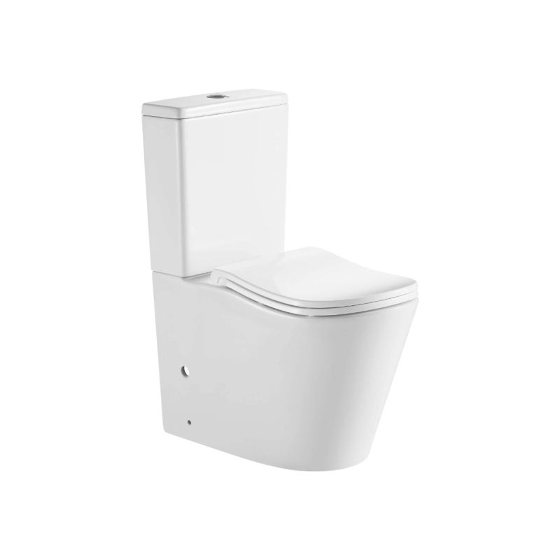 FIFA Gloss White Back To Wall Toilet Suite