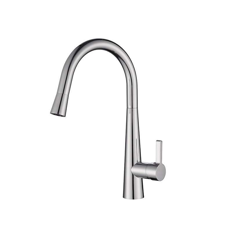 Designer Gooseneck Pull Out Kitchen Mixer Chrome