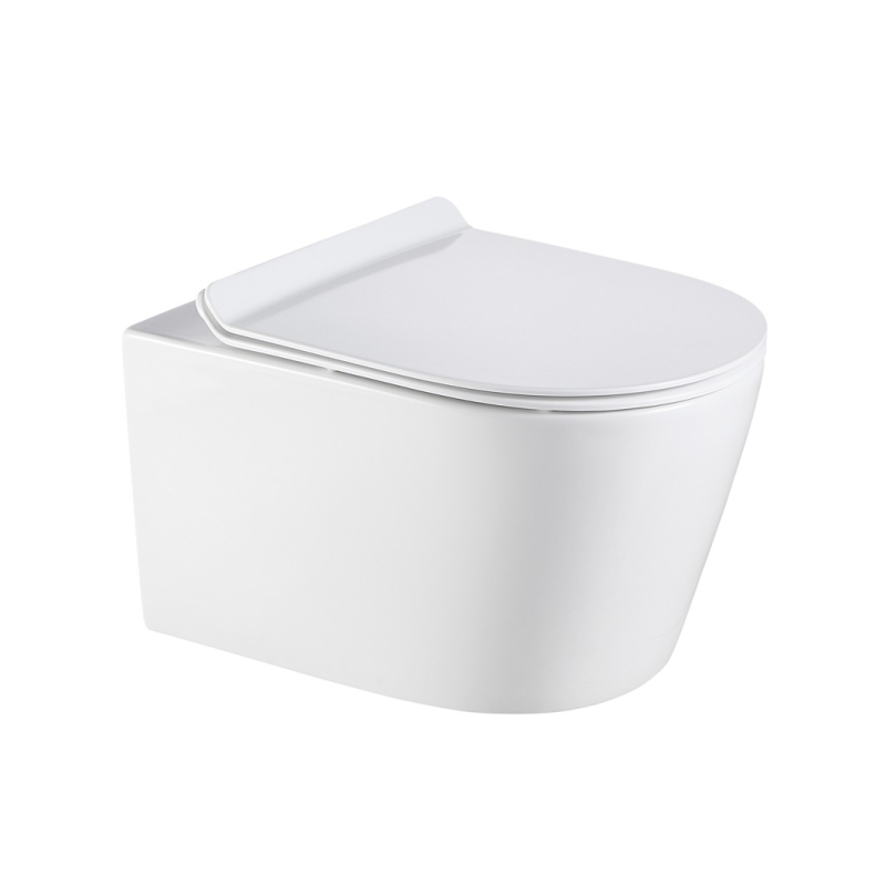 540*365*400mm Agena Rimless Wall Hung Pan