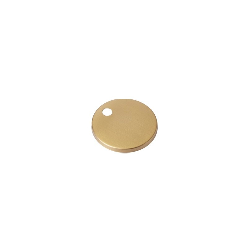 Brushed Gold Hinge Cover In Pair