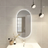 450x900mm Oval 3 Color Backlit LED Mirror(Touchless Sensor Switch)