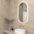 450×900mm Brushed Gold Framed Oval 3 Color Backlit LED Mirror(Touchless Sensor Switch)