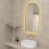 500x900mm Brushed Gold Framed Arch 3 Color Backlit LED Mirror(Touchless Sensor Switch)