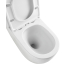 650*390*850mm Procida Tornado Rimless Toilet Suite