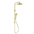 Otus Round Multi-Function Shower Set Brushed Gold,304SS Stainless Steel Rail, 250mm ABS Shower Head,1.5m PVC Hose