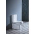 Moi Back To Wall Toilet Suite (Rimless) With Slim PP Seat Cover And Bottom Inlet Cistern T5B