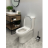 Moi Back To Wall Toilet Suite (Rimless) With Slim PP Seat Cover And Bottom Inlet Cistern T5B