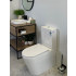 Pani Back To Wall Toilet Suite (Rimless) With Slim UF Seat Cover And  Universal Inlet Cistern T3
