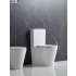 Berlin Matt White Back To Wall Toilet Suite Quiet Flushing Technology 