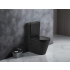 Berlin Matt Black Back To Wall Toilet Suite Quiet Flushing Technology 